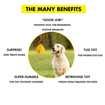 Dog Toy Online